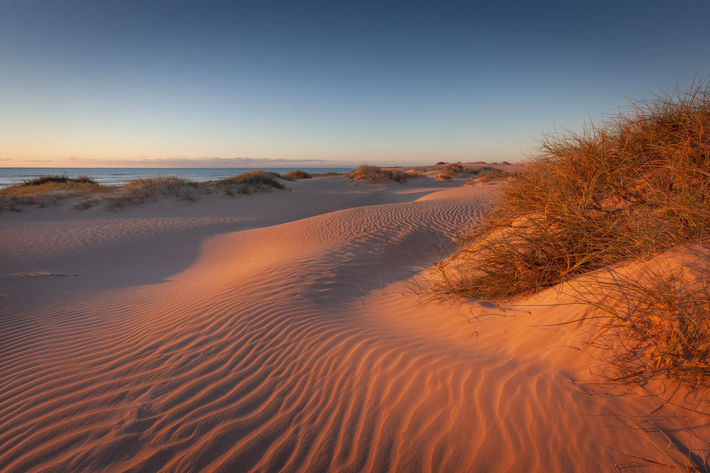 Ningaloo,_Western_Australia[1].webp